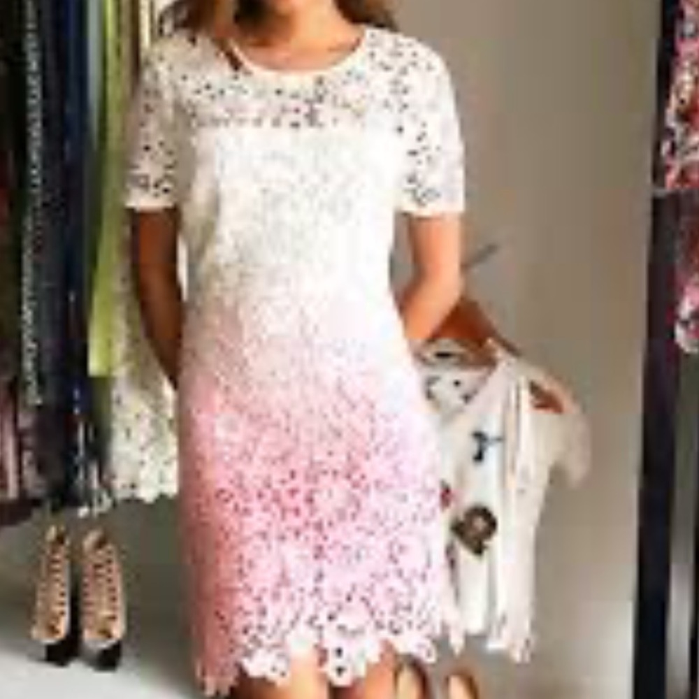 NWT Ark & Co Lace Dress in White and Pink Ombre size L ** read measurements